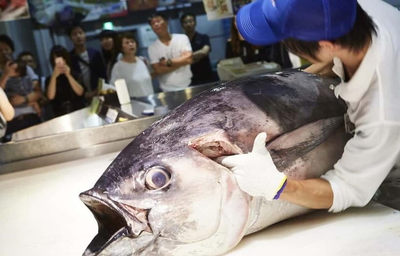 Osaka: Wakayama Cat Train, Seafood market, Hot Springs Tour - The road time, guide, and coach