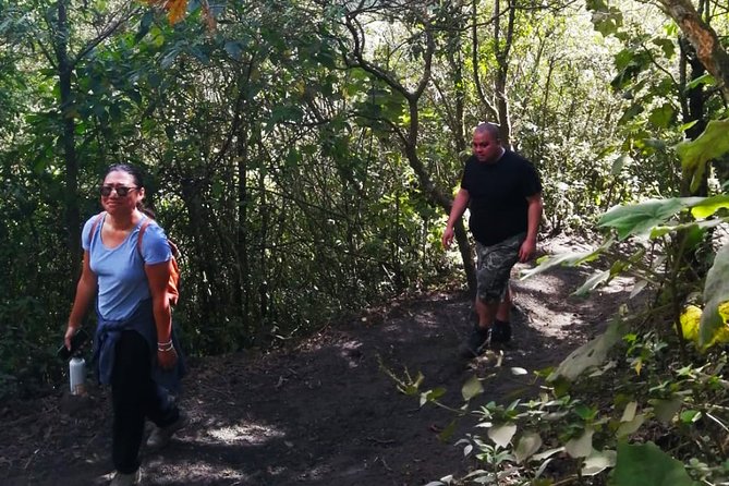 Pacaya Volcano Tour and Hot Springs from Guatemala City - What you may see near the lava fields