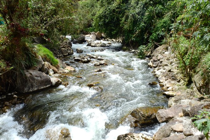 Papallacta Hot Springs & Guango Birding Reserve Private Tour - The drive from Quito into the high Andes
