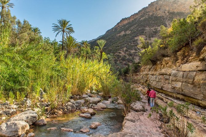 Paradise Valley Trip with Hammam Massage - Argan oil farm and the Moroccan lunch question