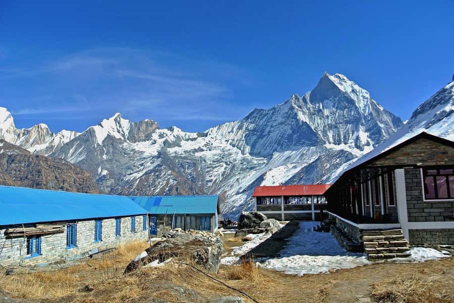 Pokhara: 5 Day Annapurna Base Camp Trek & Natural Hot Spring - What this Annapurna Base Camp trek is really like