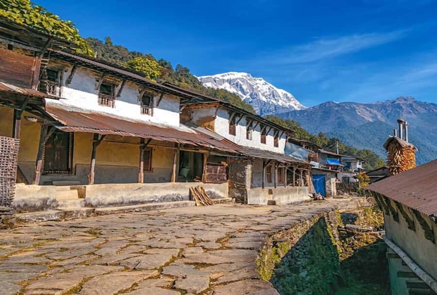 Pokhara: 5 Day Annapurna Base Camp Trek & Natural Hot Spring - The guide is the most important part of the package