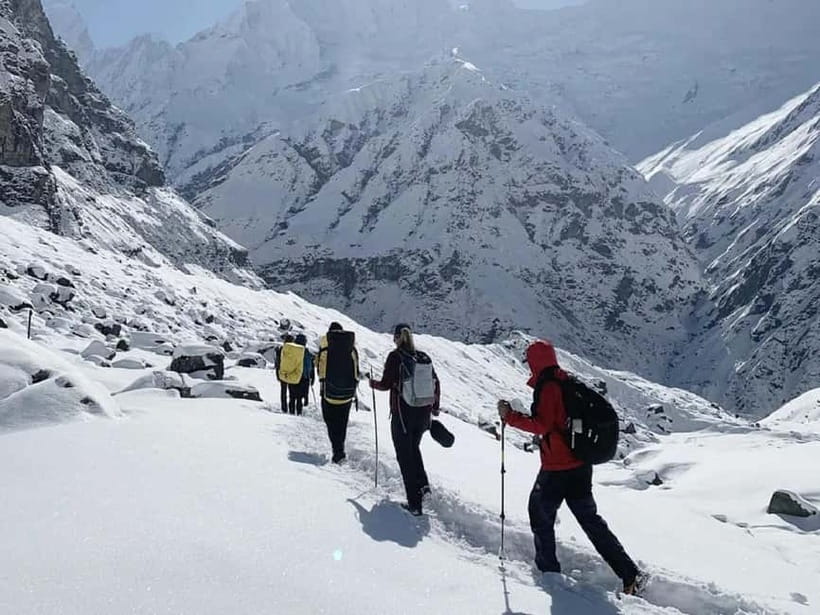 Pokhara: 7-Day Annapurna Base Camp Trek & Natural Hot Spring - Day 3: Chomrong to Himalaya through bamboo forest