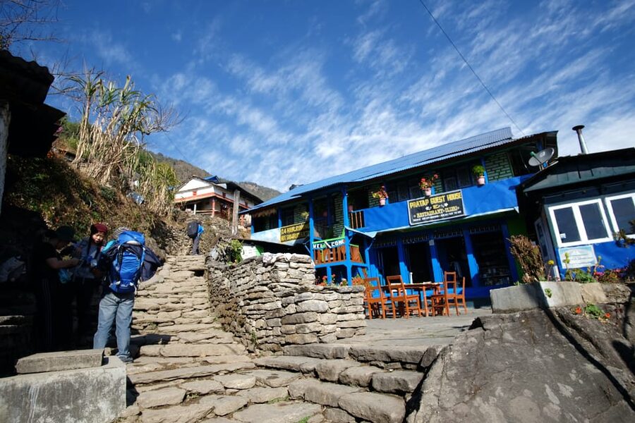 Pokhara: 7-Day Annapurna Base Camp Via PoonHill & Hot Spring - Day 4: Sinuwa to Deurali through bamboo and rhododendron