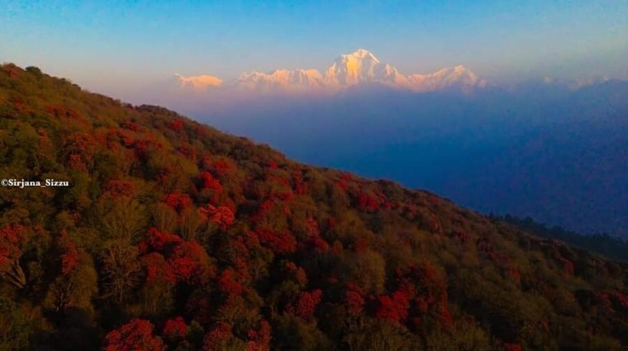 Pokhara: 7-Day Annapurna Base Camp Via PoonHill & Hot Spring - Day 5: Deurali to Annapurna Base Camp at 4,130 meters