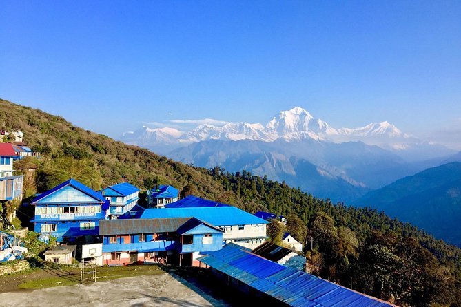 POON HILL HOT SPRING - 10 Days Trek - Day 6: Tadapani to Jhinu Danda and the hot springs