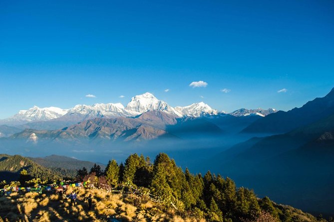 POON HILL HOT SPRING - 10 Days Trek - Day 3: Nayapul to Ulleri and the first serious climb