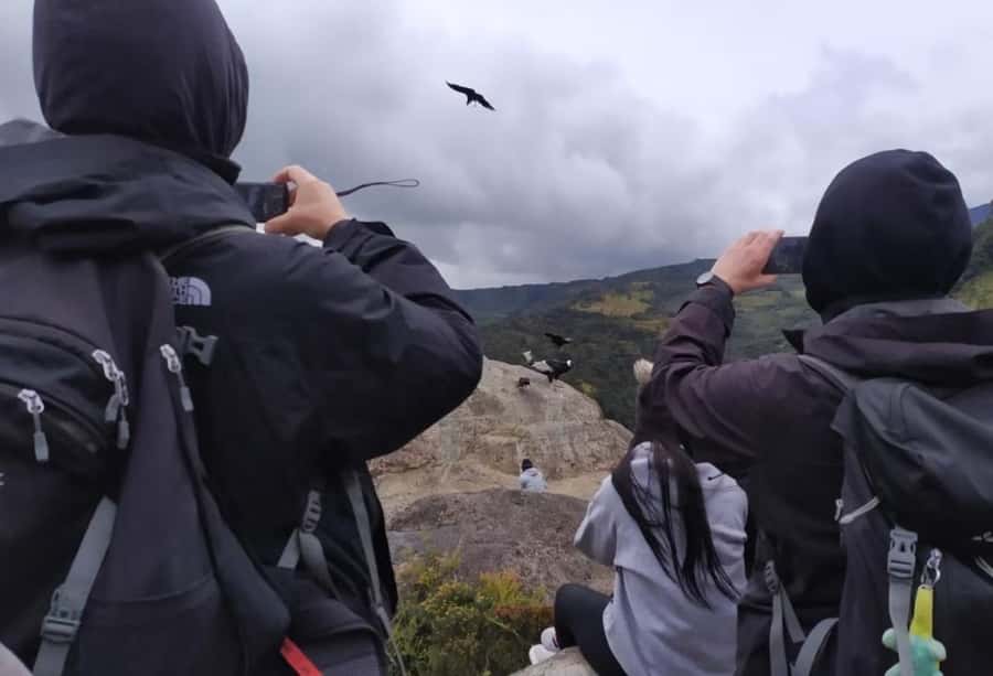 Popayan: Condor Watching in Purace + San Juan Hot Springs - Inside Puracé National Natural Park