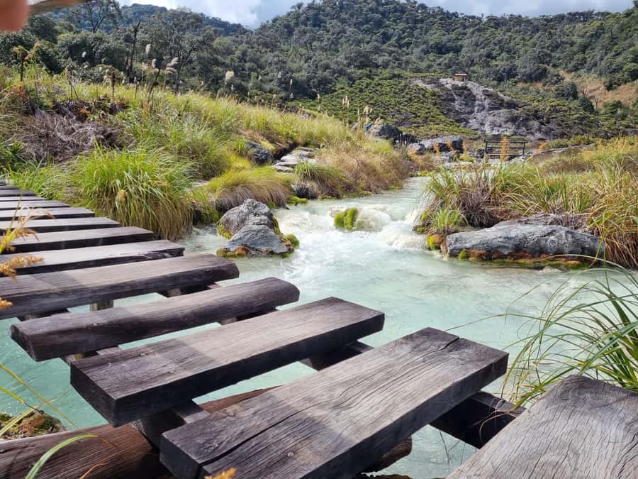 Popayan: Condor Watching in Purace + San Juan Hot Springs - Frailejones, Bedón waterfall, and Andulbio lagoon