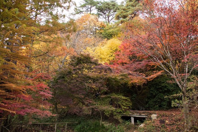Private Car Day Trip to the Kobe Mountains, Gardens and Hot Springs from Osaka - Spending two hours in Arima Onsen
