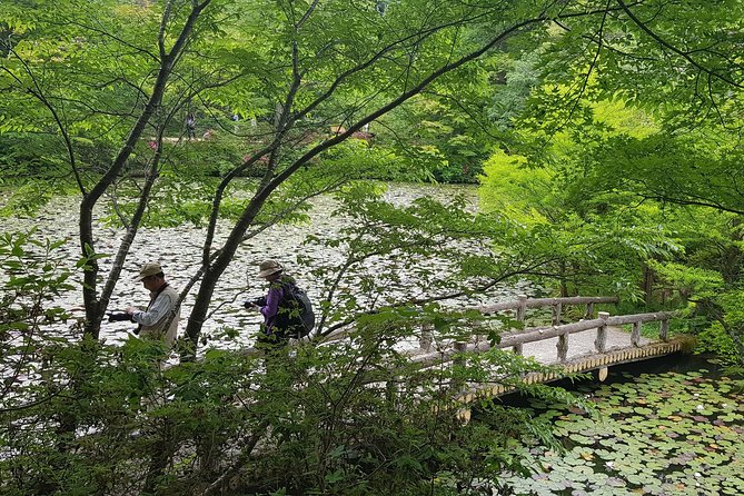 Private Car Day Trip to the Kobe Mountains, Gardens and Hot Springs from Osaka - Guide quality and flexibility