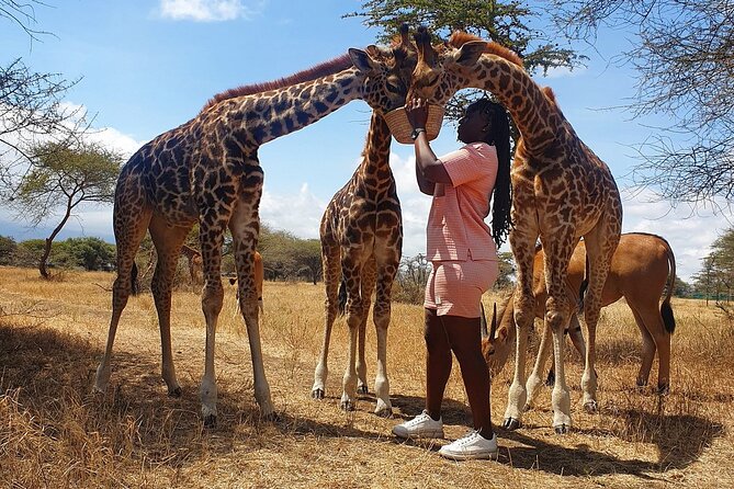 Private Day Tour in Serval Wildlife and Kikuletwa Hot Spring - A wildlife morning with clear rules at Serval