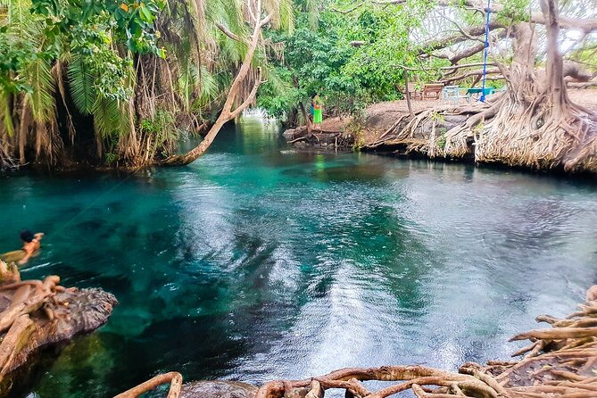 Private Day Tour in Serval Wildlife and Kikuletwa Hot Spring - The guide can shape the whole day