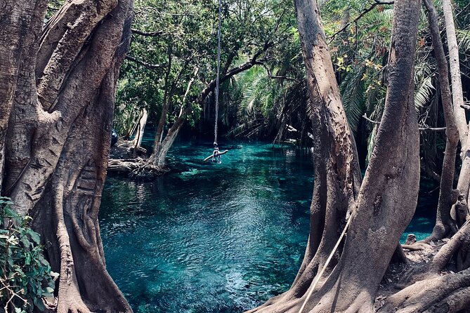 Private Day Trip to Kikuletwa Hot Springs in Kilimanjaro - What the $150 price really covers