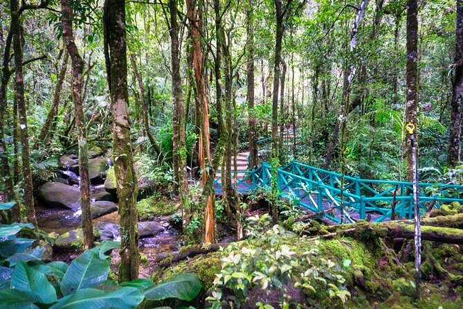 Private Desa Dairy Farm, Kinabalu National Park, Hot Spring & Canopy Walk Tour - Kinabalu Park headquarters and its mountain setting