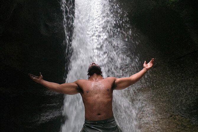 Private Fresh Water Lake, Waterfalls And Hot Springs Excursion - Trafalgar Falls and the easy viewpoint walk