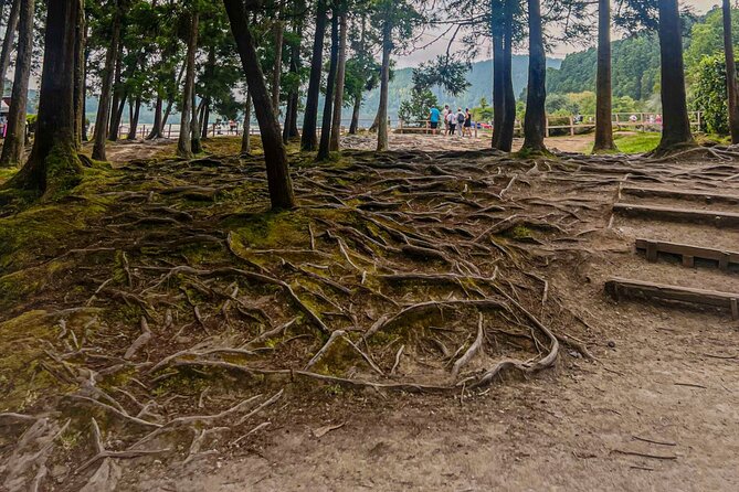 Private Full Day Tour Furnas – Thermal Pools & Botanical Garden - Nossa Senhora da Paz finishes with a wide island view
