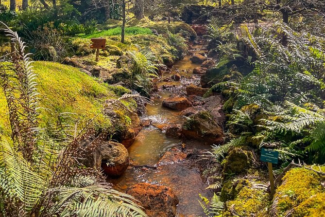 Private Full Day Tour Furnas – Thermal Pools & Botanical Garden - Gorreana Tea Plantation starts the day gently