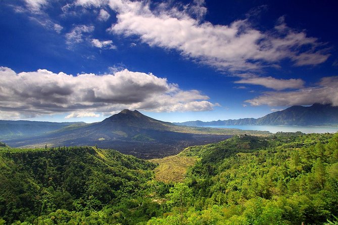 Private full-day tour with hot spring - Who should book this Bali day tour?