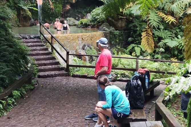 Private Guided Tour to Furnas and thermal baths. - Gorreana Tea Plantation closes the route with a taste