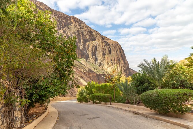 Private Half-Day Ma'in Waterfalls and Hot Springs Tour from Amman - The drive from Amman to the springs