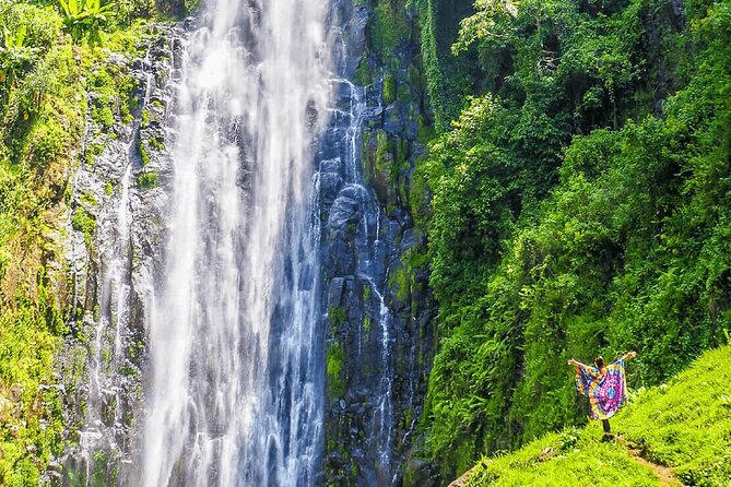 Private Materuni Waterfalls, Coffee Tour and Kikuletwa Hot Spring - Materuni Waterfalls, where the day gets active