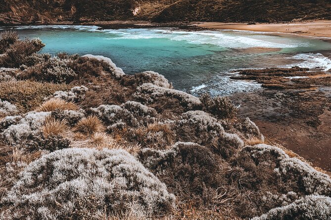 Private Mornington Peninsula Hike and Hot Springs Tour - Key points to know before you book