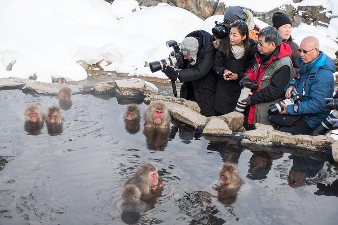 Private Nagano 1-Day Tour:Snow Monkeys,Zenko-ji,Obuse,Sake,Onsen - Obuse: chestnuts, sake, and a slower pace