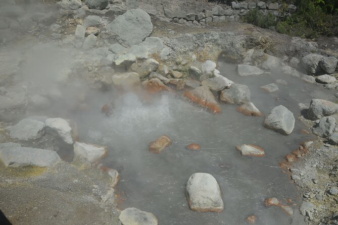 Private Tour Full-Day Furnas: Lake, Fumaroles and Thermal Pools - Terra Nostra Park and its thermal pool