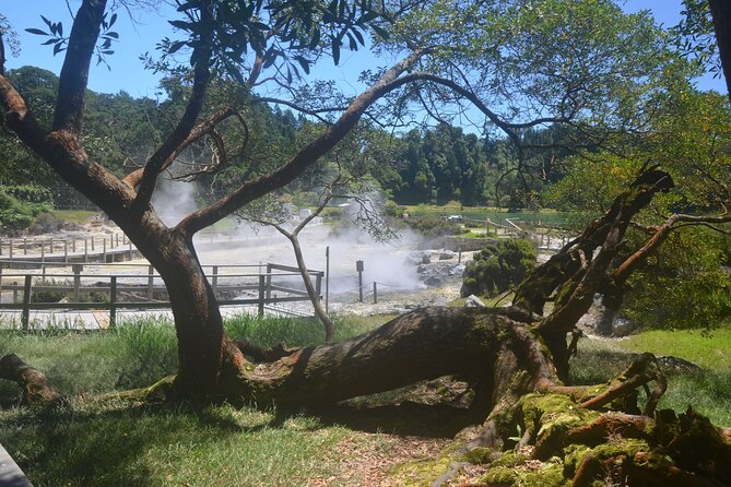 Private Tour Full-Day Furnas: Lake, Fumaroles and Thermal Pools - What the price includes, and what it does not