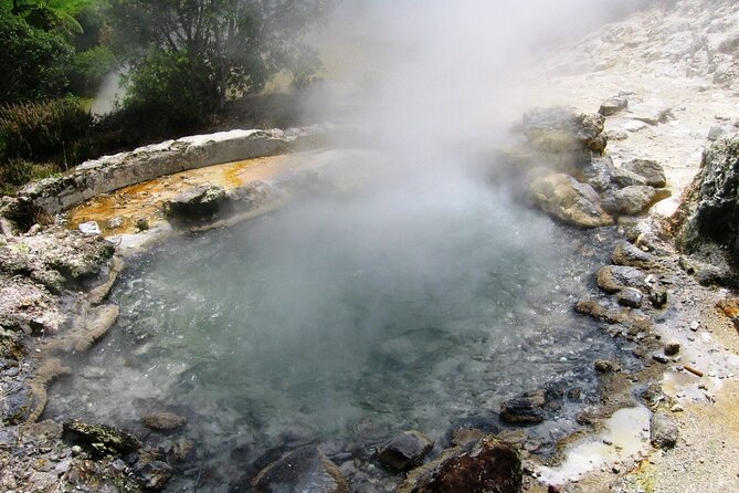 Private Tour Full-Day Furnas: Lake, Fumaroles and Thermal Pools - Who should book this São Miguel tour