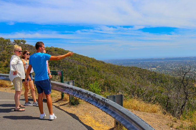 [PRIVATE TOUR] Mornington Peninsula Hot Springs | Winery & Sightseeing Tour - Who should book this Mornington Peninsula day?