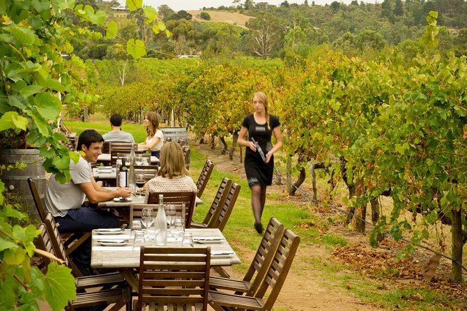 [PRIVATE TOUR] Mornington Peninsula Hot Springs | Winery & Sightseeing Tour - Tasting Pinot Noir and Chardonnay at two wineries