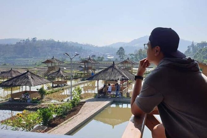 Private Tour to Bandung Volcano Hot Springs and Mud bathing - Rengganis Crater brings the active part of the day