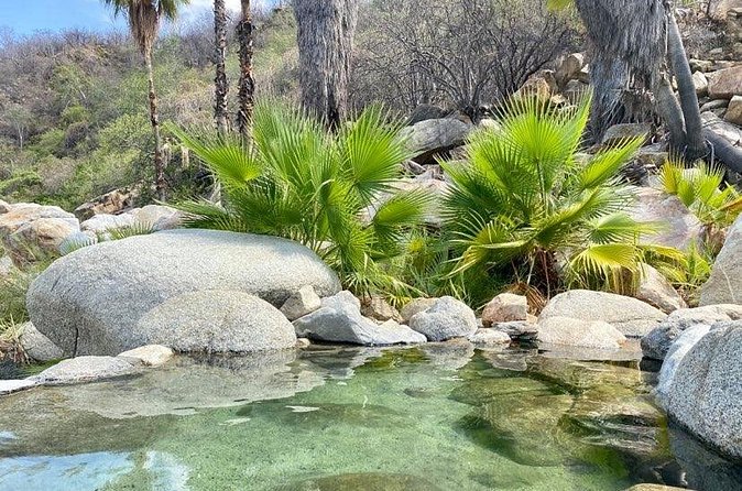 Private Tour to Hot Springs and Waterfall in Santiago - A private guide makes the difference