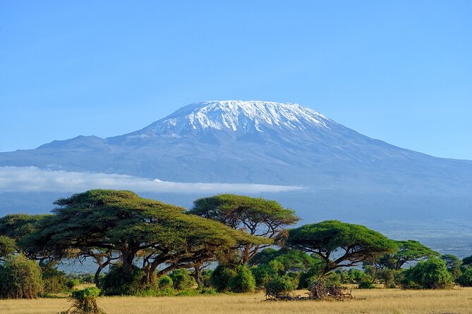 Private Tour to Marangu Waterfalls, Chagga Caves, Coffee tour & Hot Springs - Key points to know before you go
