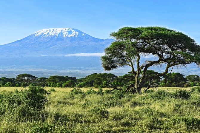 Private Tour to Marangu Waterfalls, Chagga Caves, Coffee tour & Hot Springs - Why this Arusha day trip works so well