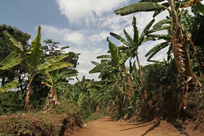 Private Tour to Marangu Waterfalls, Chagga Caves, Coffee tour & Hot Springs - Chagga caves, brewing, and local community