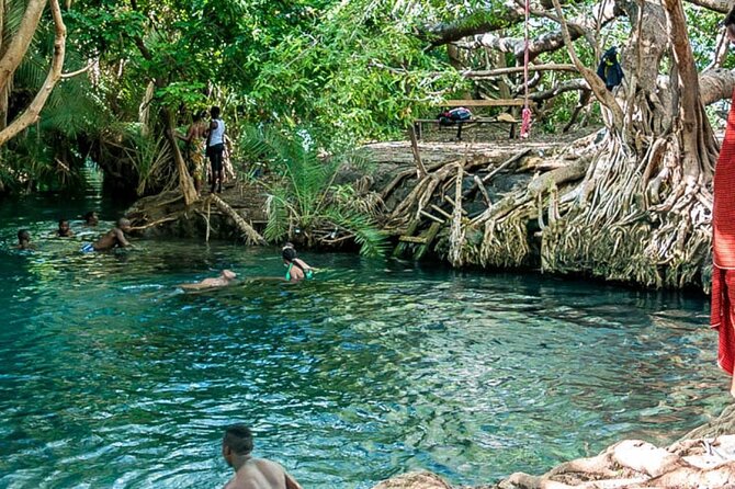 Private Tour to Materuni Waterfalls, coffee tour, Kikuletwa Hot Springs & Maasai - Why private transport changes the day