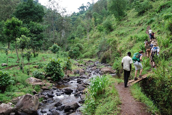 Private Tour to Materuni Waterfalls, coffee tour, Kikuletwa Hot Springs & Maasai - Practical details to settle before departure