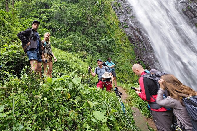 Private Tour to Materuni Waterfalls, coffee tour, Kikuletwa Hot Springs & Maasai - Meeting Maasai families at the boma