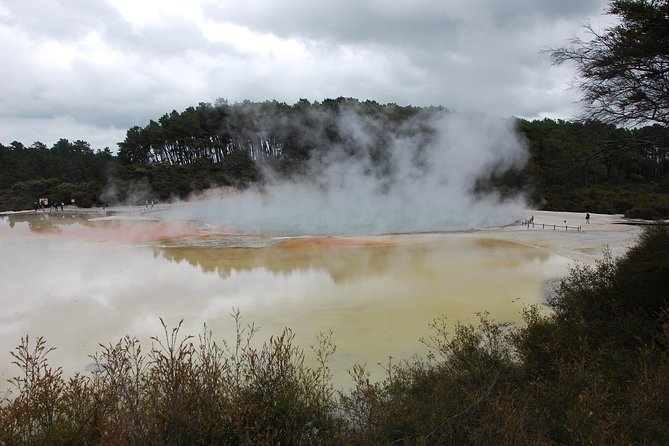 Private Tour Waiotapu Geothermal Shore Excursion up to 8 passengers - The Redwoods offer a quiet change of pace