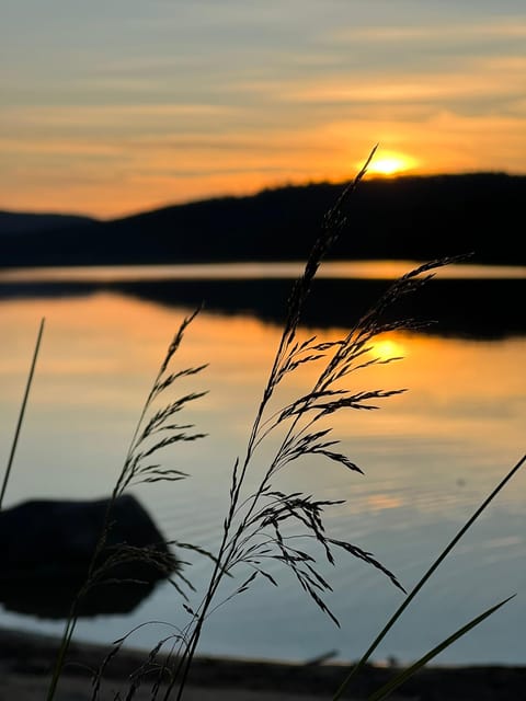 Private Traditional Sauna, Ice Dip and Dinner in the Wild - Is $423 per person a fair price?