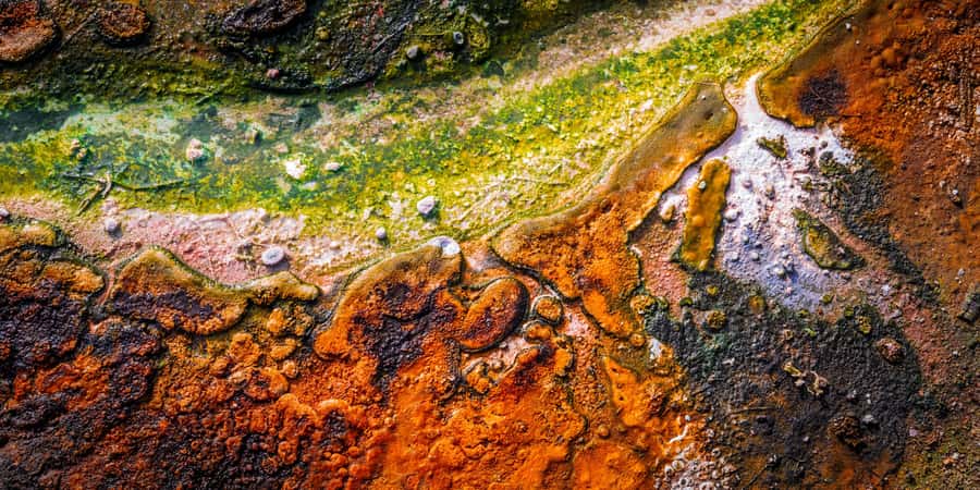 Private VIP Luxury Auckland - Rotorua Geothermal Wonderlands - Practical planning for a smoother day