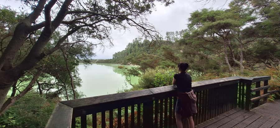 Private VIP Luxury Auckland - Rotorua Geothermal Wonderlands - Should you book the Auckland to Rotorua day trip?