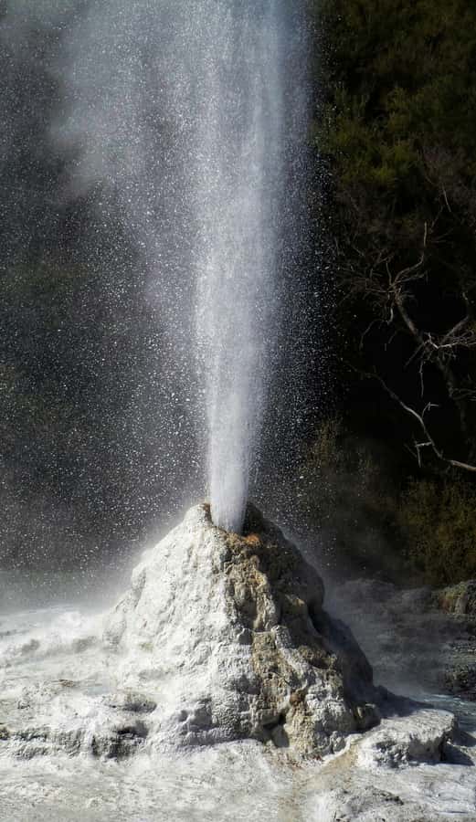 Private VIP Luxury Auckland - Rotorua Geothermal Wonderlands - FAQ
