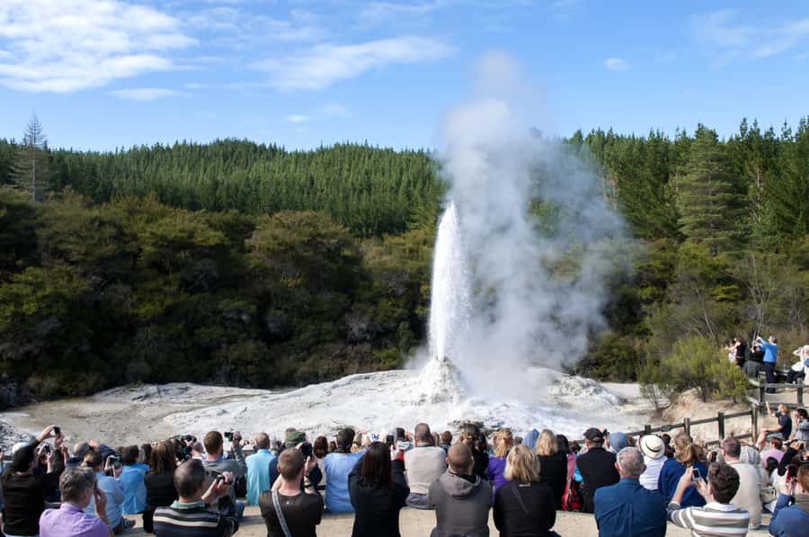 Private VIP Luxury Auckland - Rotorua Geothermal Wonderlands - Lunch in Rotorua before the geothermal sights