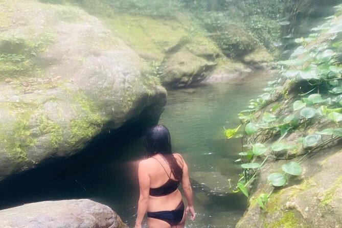 Private Wellness Tour of Puerto Rico Waterfalls and Hot Springs - Who should book this day?