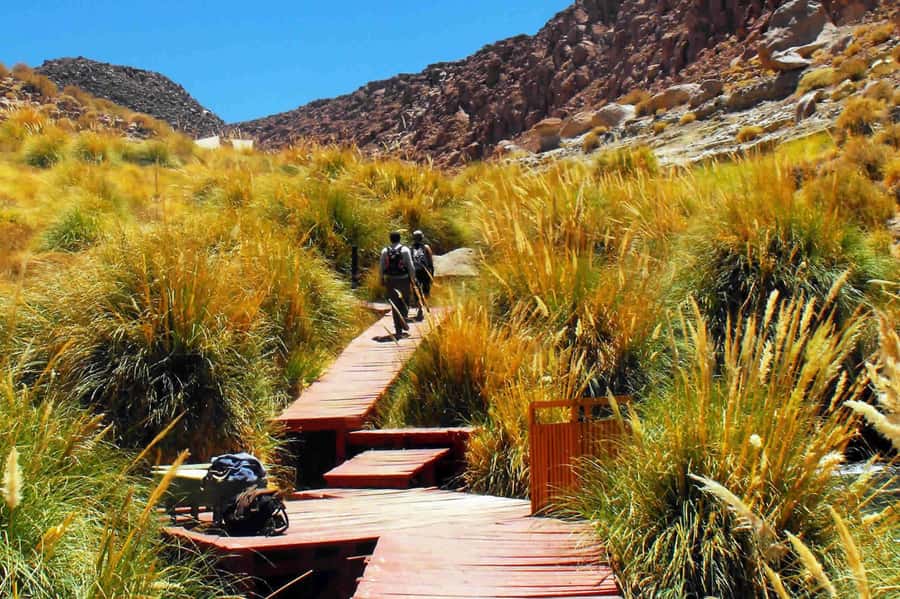 Puritama Hot Springs - Tour : San Pedro de Atacama - Chile - Arriving at the Puritama thermal pools