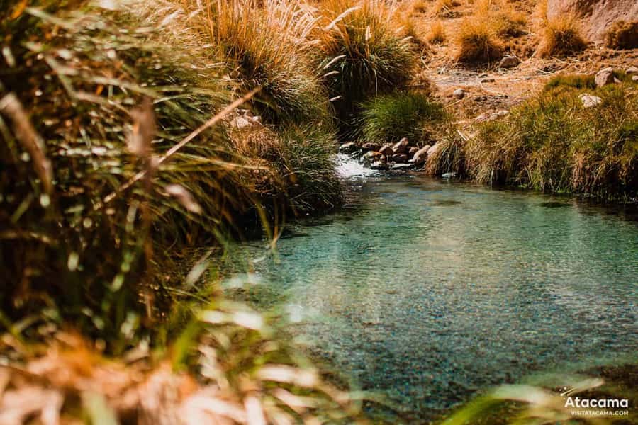 Puritama Hot Springs - Tour : San Pedro de Atacama - Chile - Lunch with a desert view